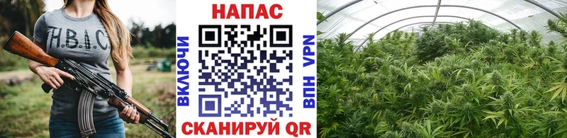 Марихуана LSD WEED где купить наркоту ОМГ ОМГ вход Кола
